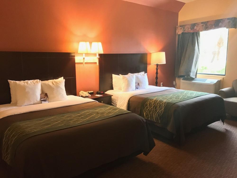 Comfort Inn Near Medical Center Мишен Экстерьер фото